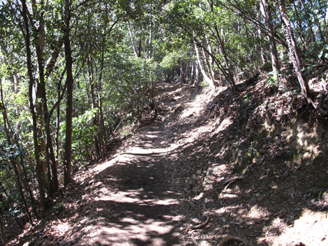 20160226hike (13)